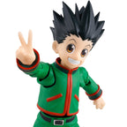 Bandai S.H.Figuarts Hunter X Hunter Action Figures Collection